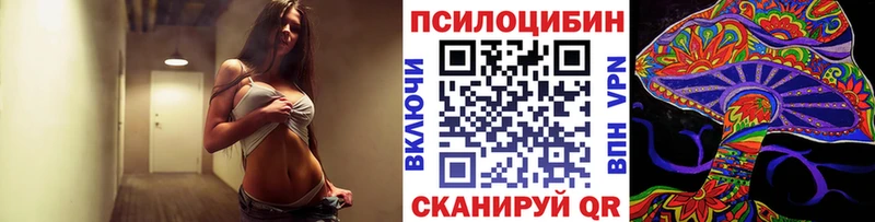 Псилоцибиновые грибы Psilocybine cubensis Камбарка