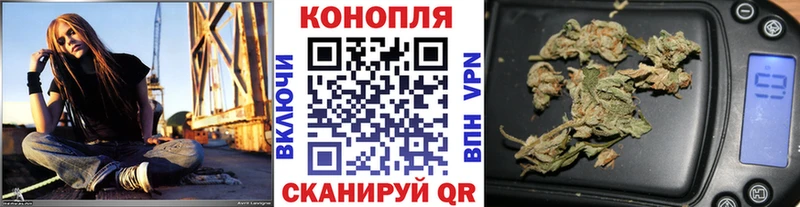 Конопля план  купить  цена  Камбарка 